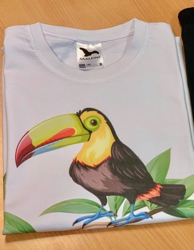DTG trükk särgile